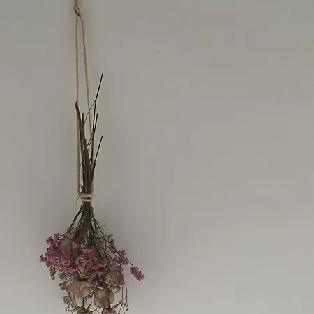 Locazione Culturale - Short Rent In - Holiday home *