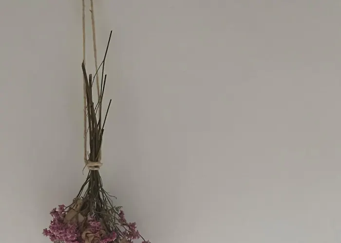 Locazione Culturale - Short Rent In - Дом отдыха *